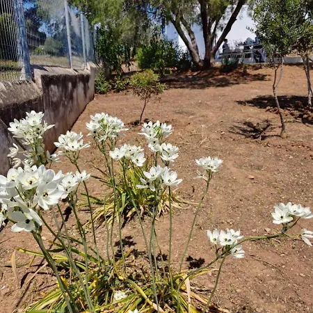בית נופש Silver Horizon פורטו הלי
